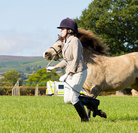 Horse Equestrian Clothing: Dressing with Elegance