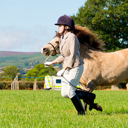 The Exceptional Benefits of Wearing Horse Jodhpurs Leggings