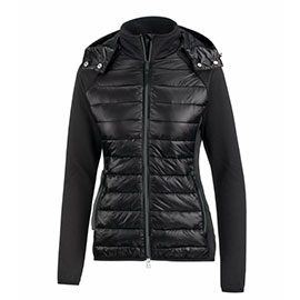 padded horse riding jacket