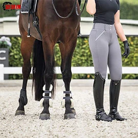 ariana   smokey grey breeches  horsegloss10