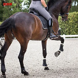 ariana   smokey grey breeches  horsegloss5