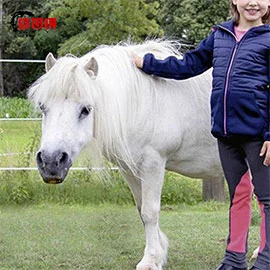 kids riding breeches my first  equizone online1